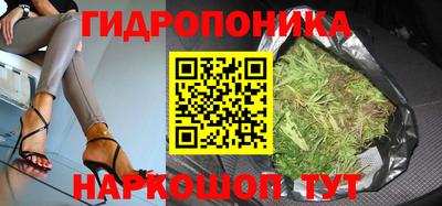 метадон Берёзовский