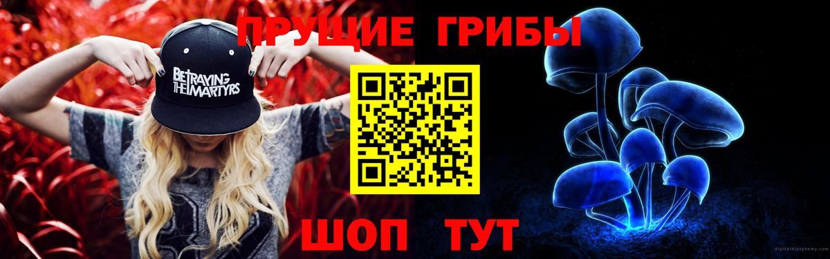 Галлюциногенные грибы прущие грибы Калининград